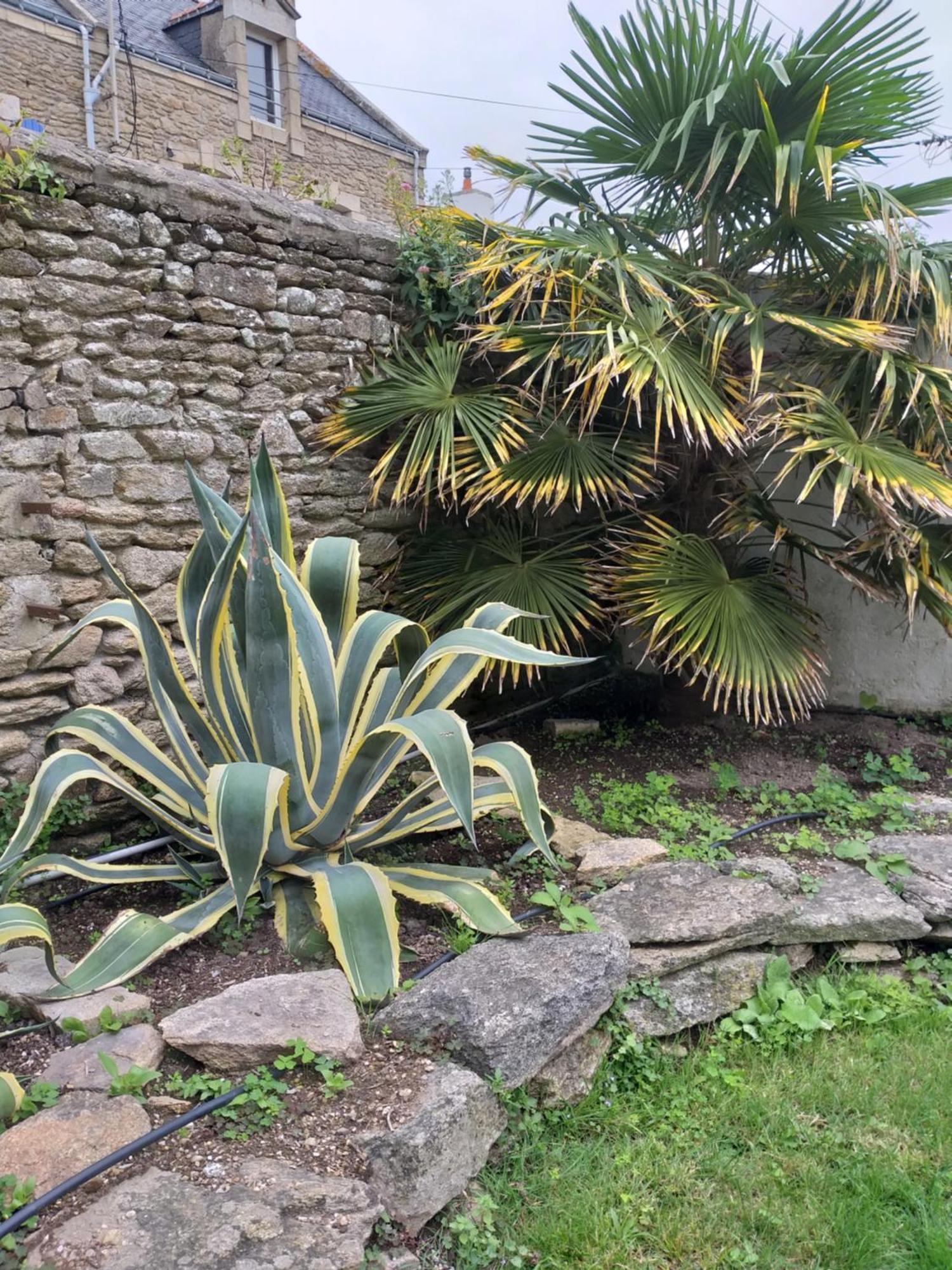 Manoir St Yves -Gite Quiberon Eksteriør bilde
