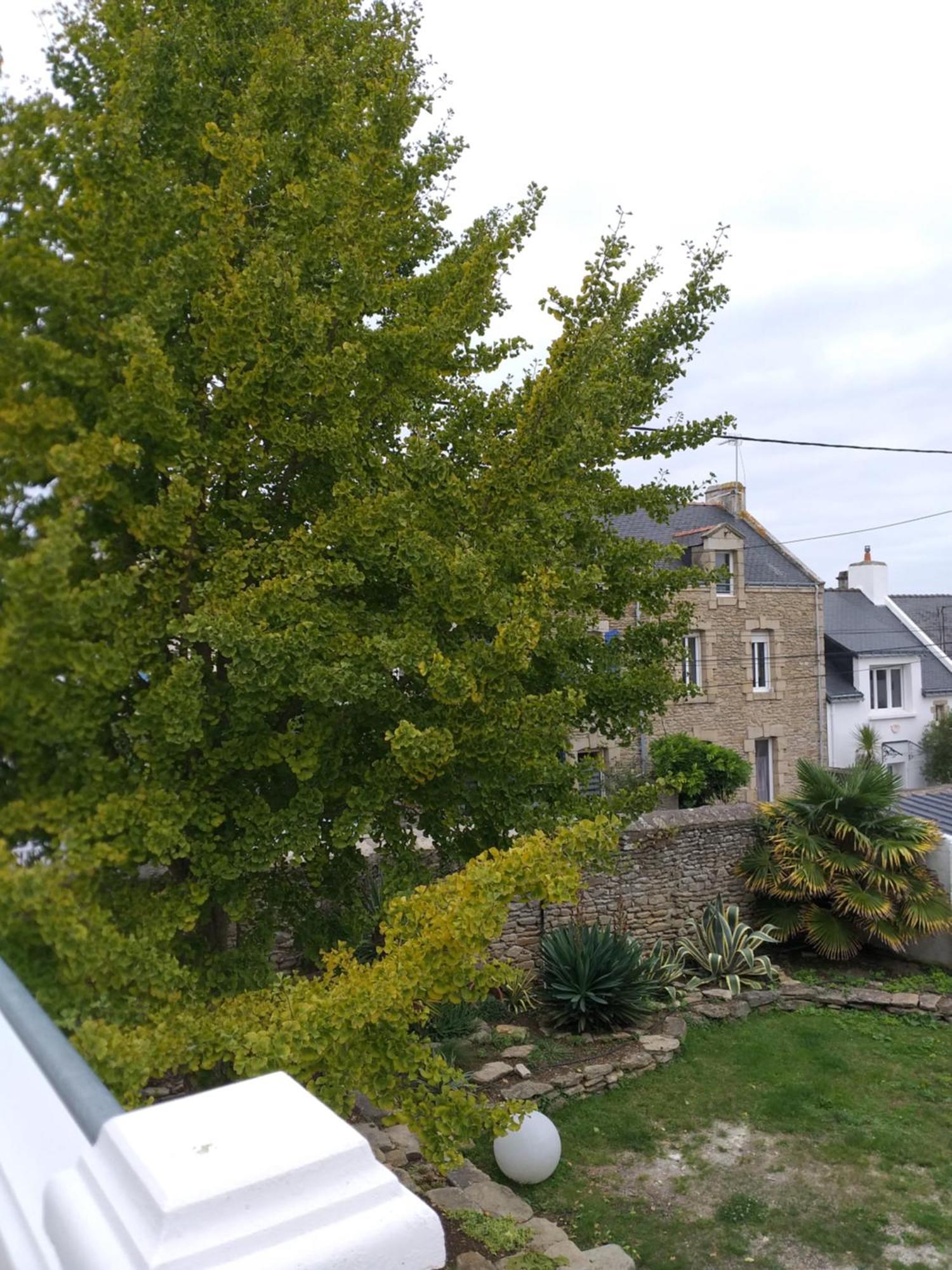 Manoir St Yves -Gite Quiberon Eksteriør bilde